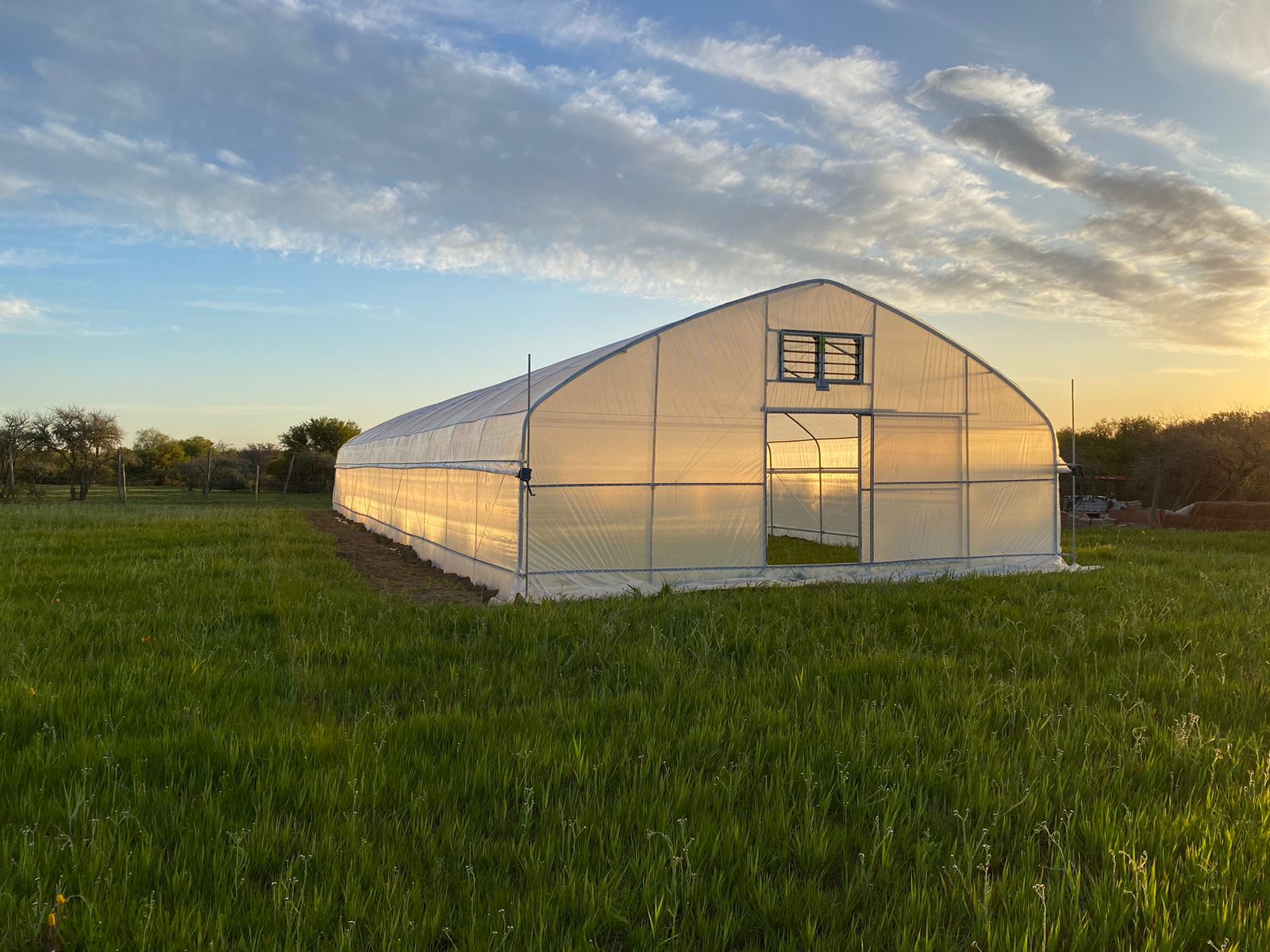 ARAVA - Invernadero Grande