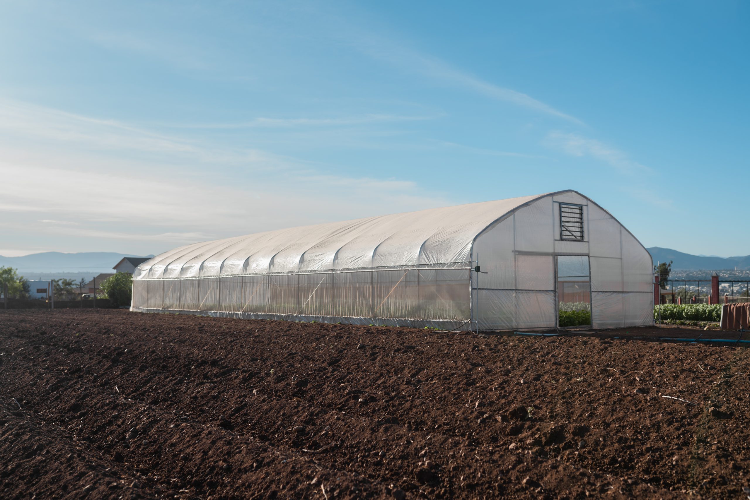 ARAVA - Invernadero Grande