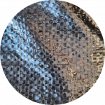 ARAVA SITIO WEB 19 ARAVA