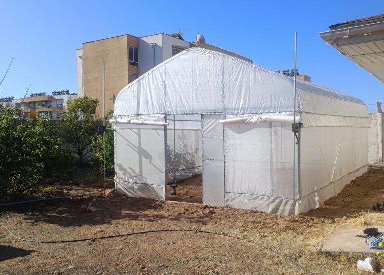 Invernaderos 1 IMG-20231117-WA0009