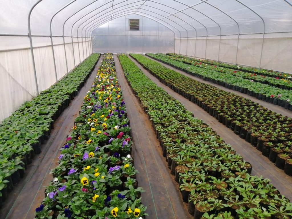 WhatsApp Image 2021 04 16 at 5.36.32 PM ARAVA