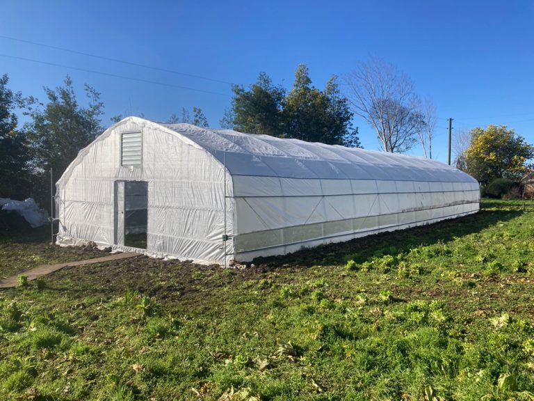 Invernaderos 4 WhatsApp Image 2022-07-28 at 4.30