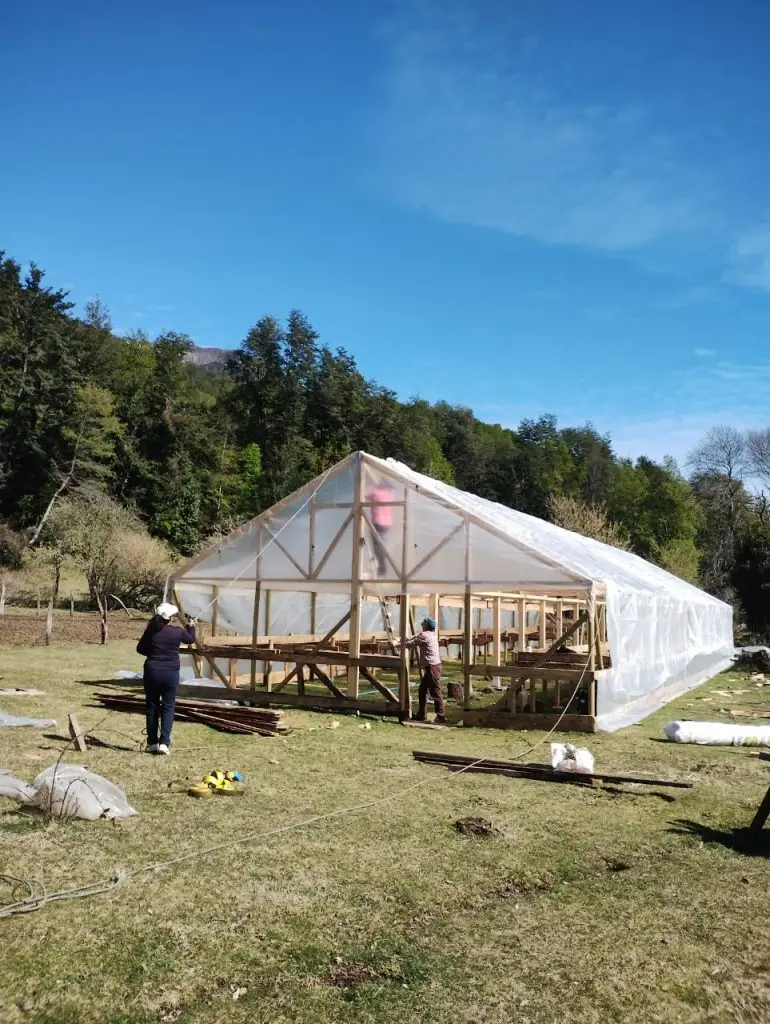 WhatsApp Image 2024 10 02 at 09.56.02 ARAVA