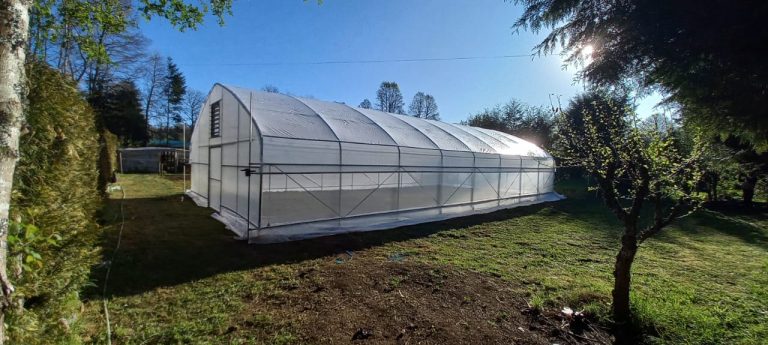 Invernaderos 3 WhatsApp Image 2025-04-16 at 12.24