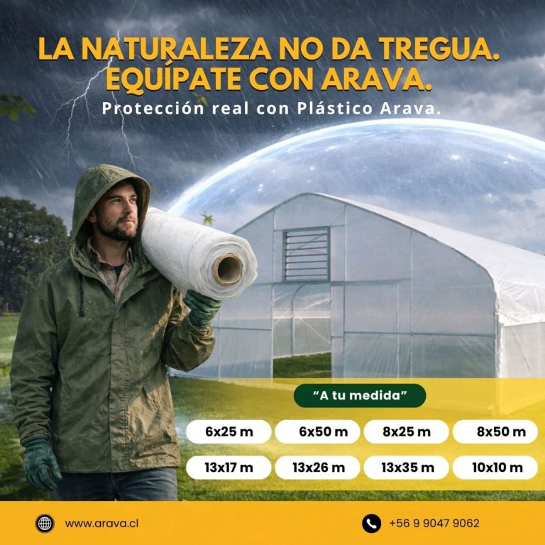 Instagram post from aravachile. This post is in position 1.