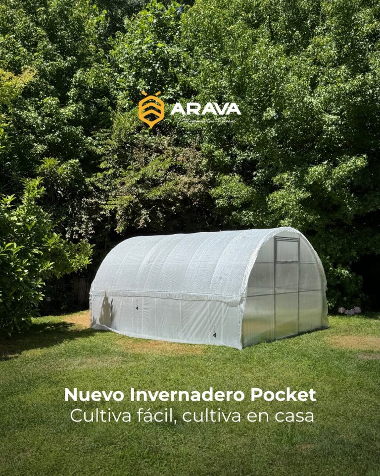 Instagram post from aravachile. This post is in position 2.