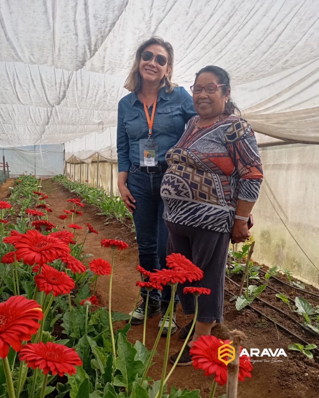 Instagram post from aravachile. This post is in position 2.