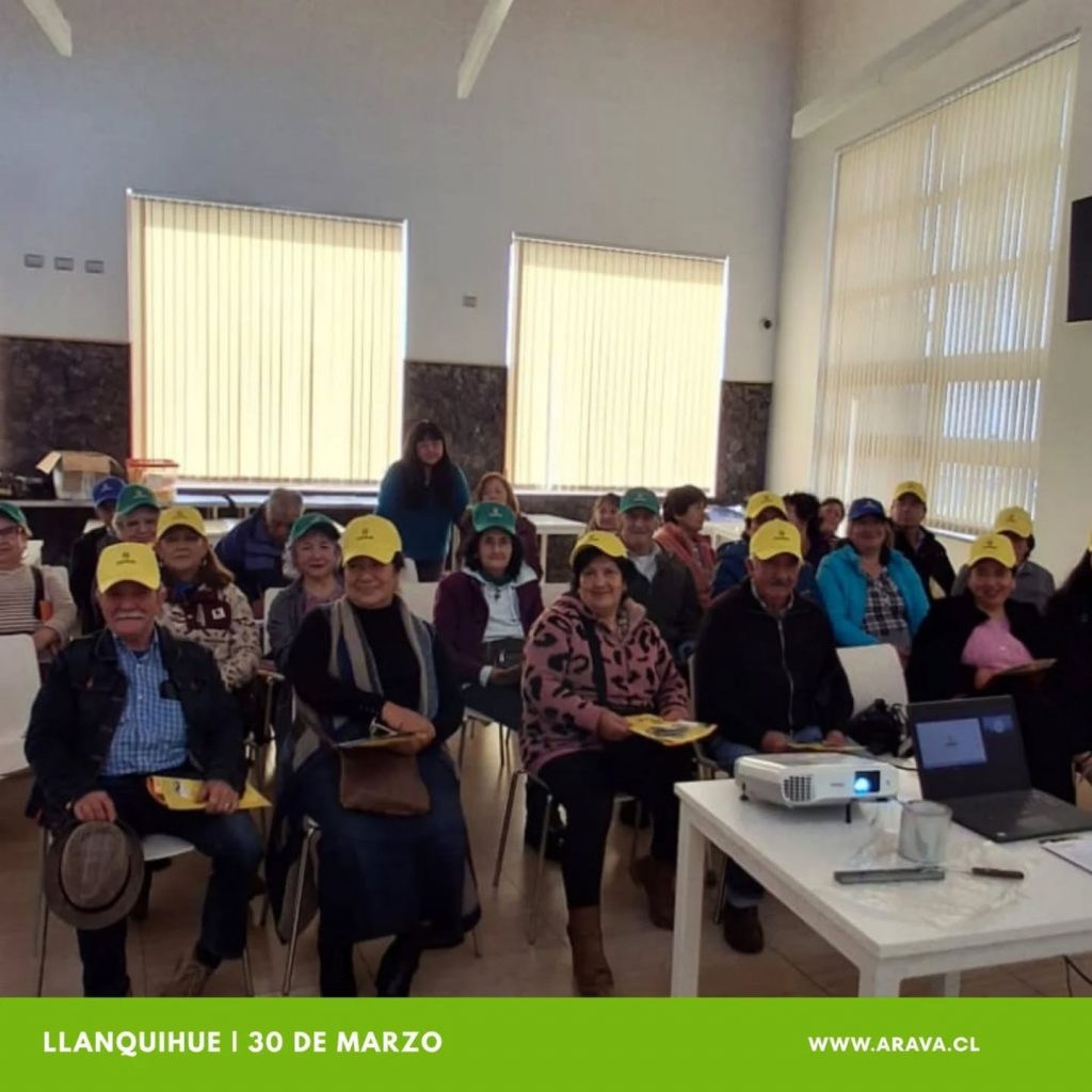 Instagram post from aravachile. This post is in position 7.