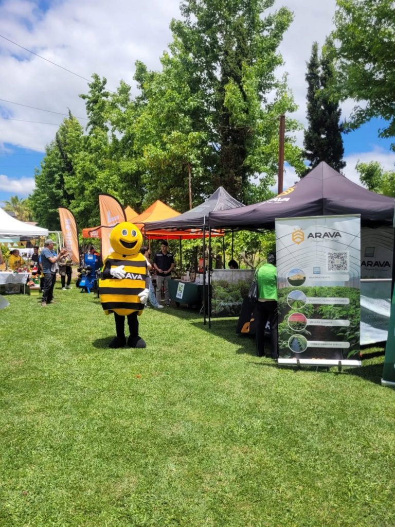 Instagram post from aravachile. This post is in position 5.