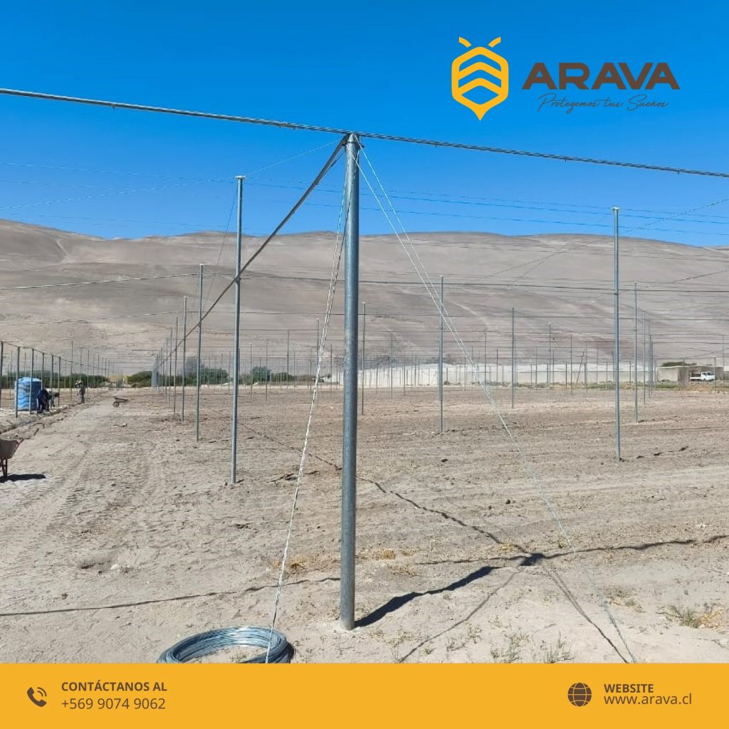 Instagram post from aravachile. This post is in position 8.