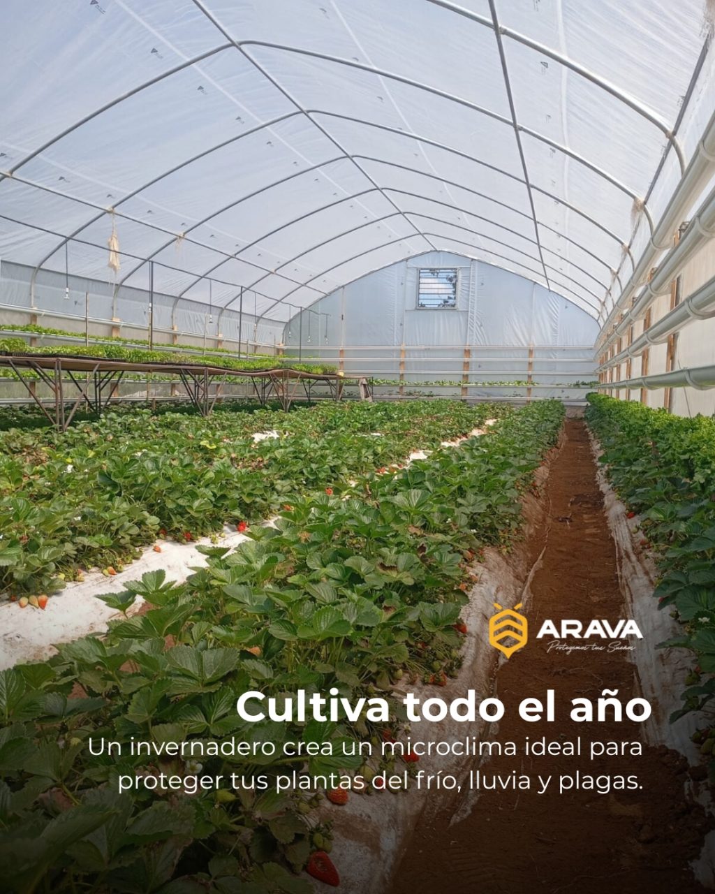 Instagram post from aravachile. This post is in position 0.