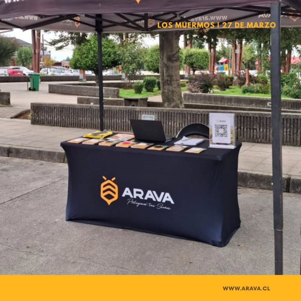 Instagram post from aravachile. This post is in position 2.