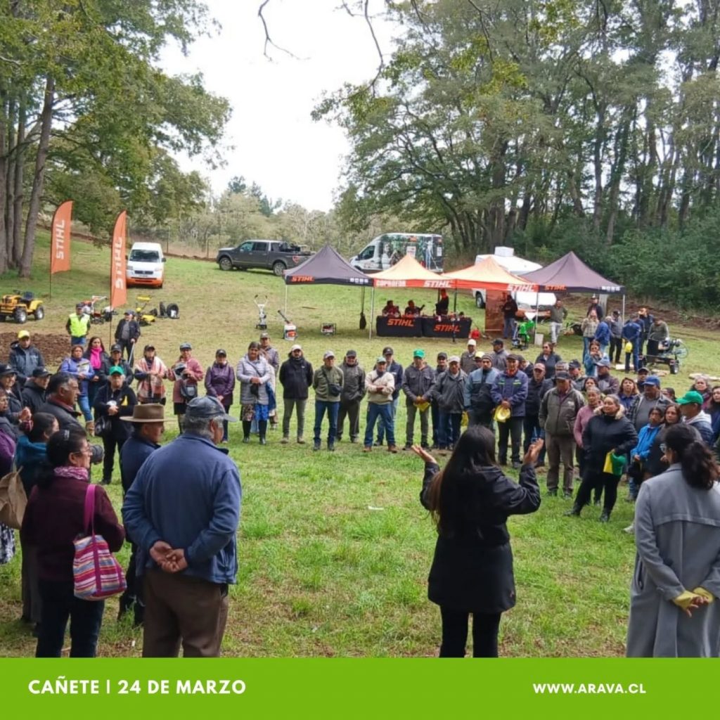 Instagram post from aravachile. This post is in position 1.