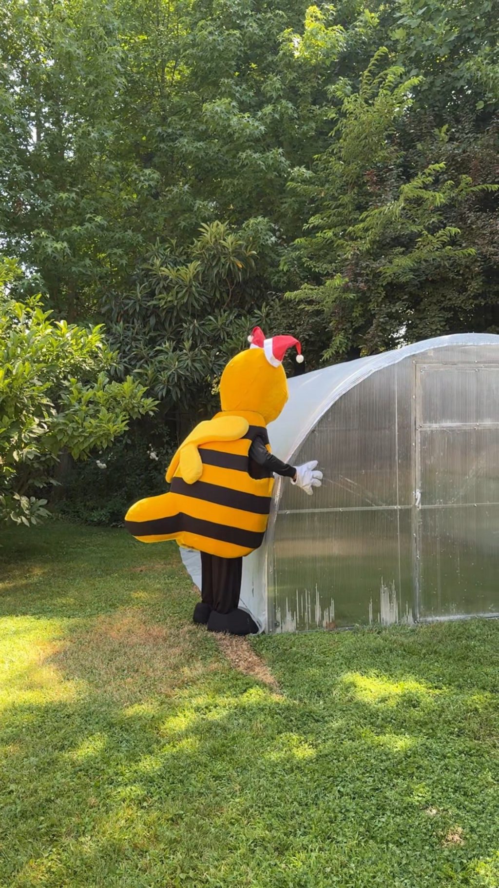 Instagram post from aravachile. This post is in position 2.