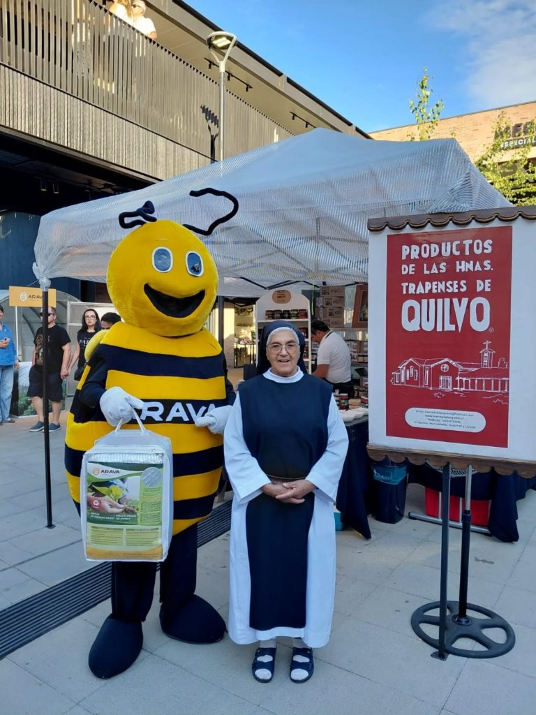 Instagram post from aravachile. This post is in position 6.