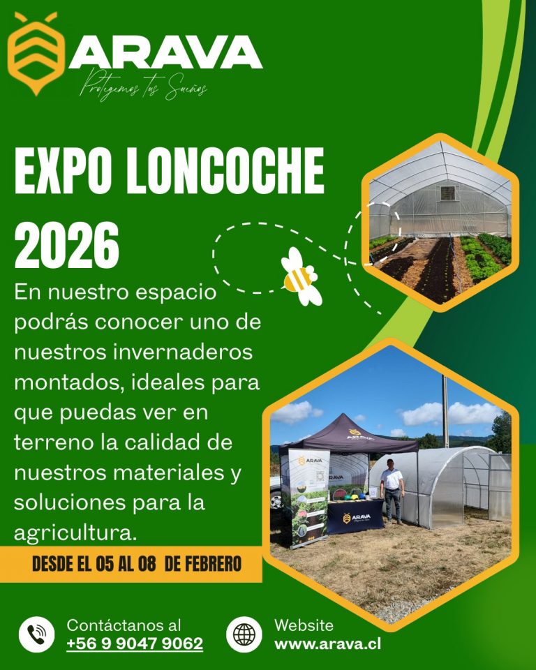 Instagram post from aravachile. This post is in position 1.