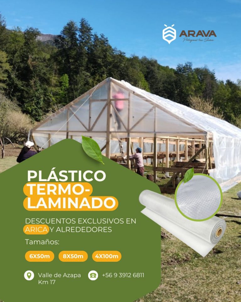 Instagram post from aravachile. This post is in position 2.