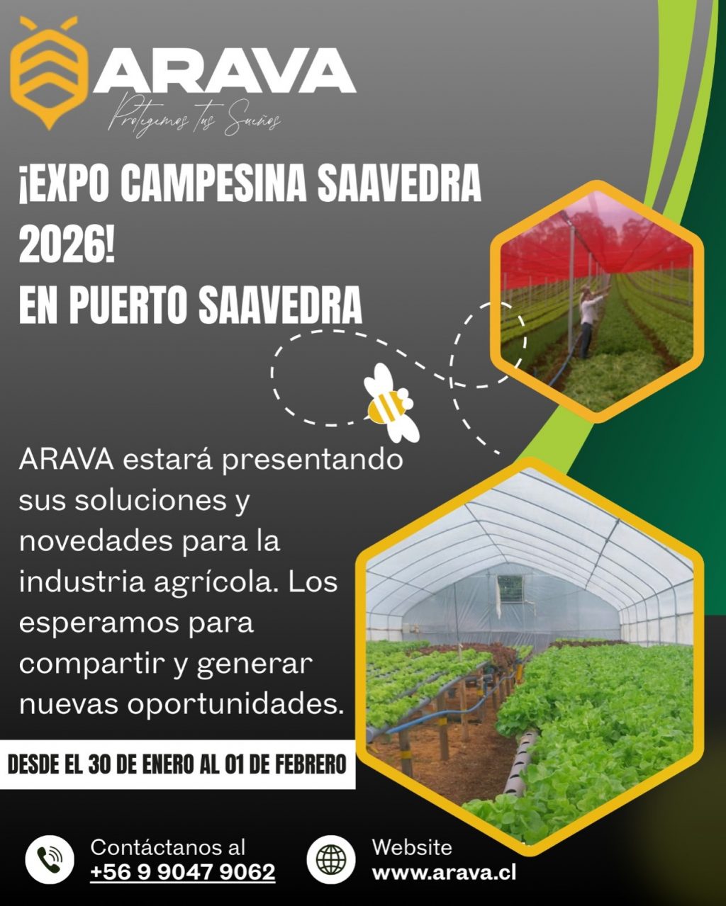 Instagram post from aravachile. This post is in position 2.