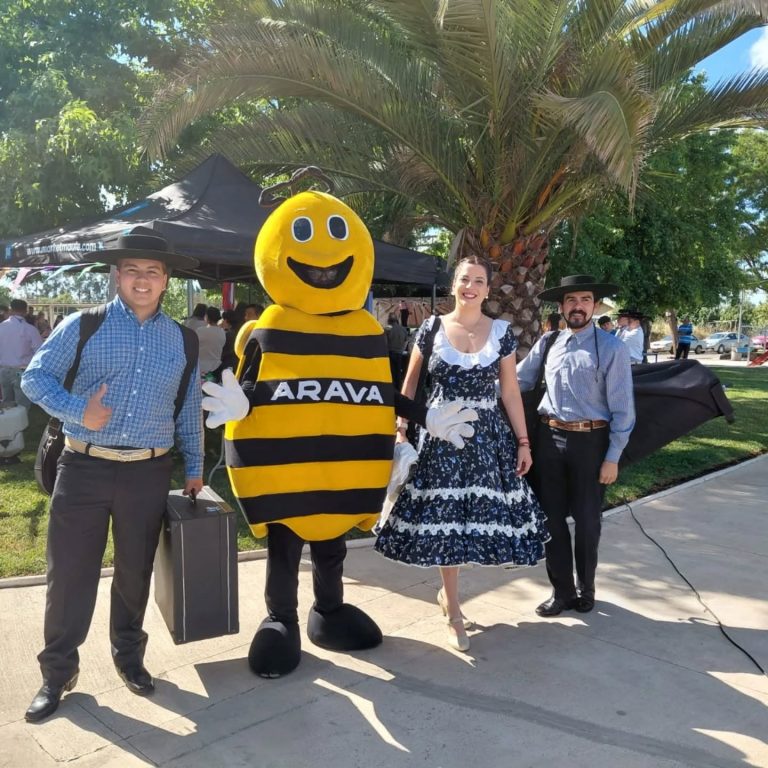 Instagram post from aravachile. This post is in position 4.