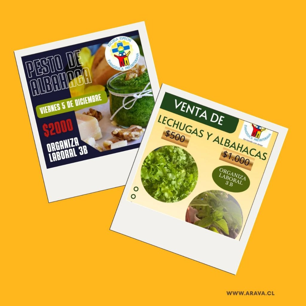 Instagram post from aravachile. This post is in position 9.