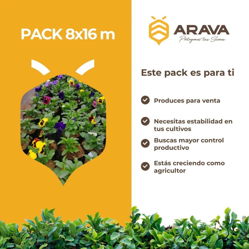 Instagram post from aravachile. This post is in position 6.