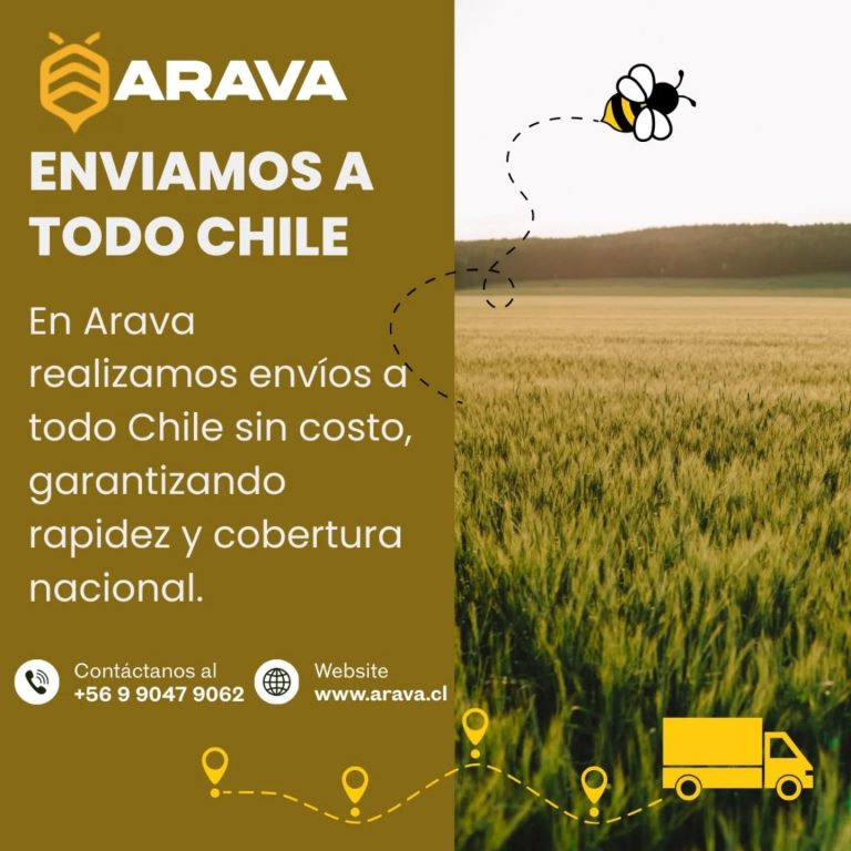 Instagram post from aravachile. This post is in position 1.