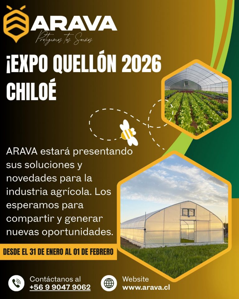 Instagram post from aravachile. This post is in position 1.