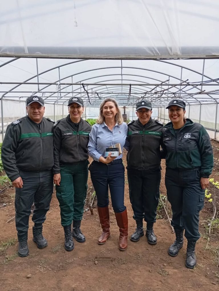 Instagram post from aravachile. This post is in position 2.