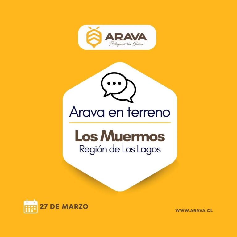 Instagram post from aravachile. This post is in position 2.