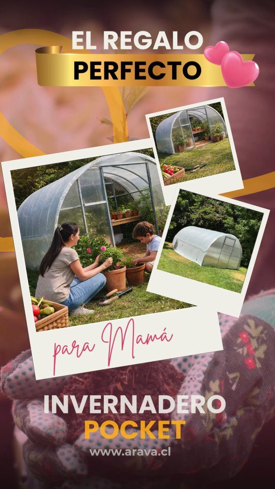 Instagram post from aravachile. This post is in position 0.