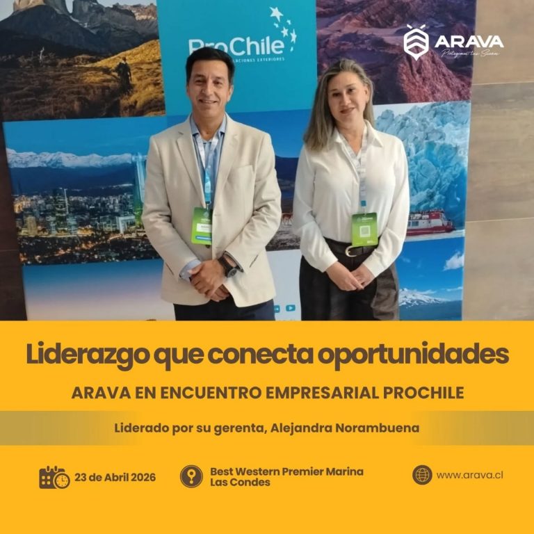 Instagram post from aravachile. This post is in position 1.