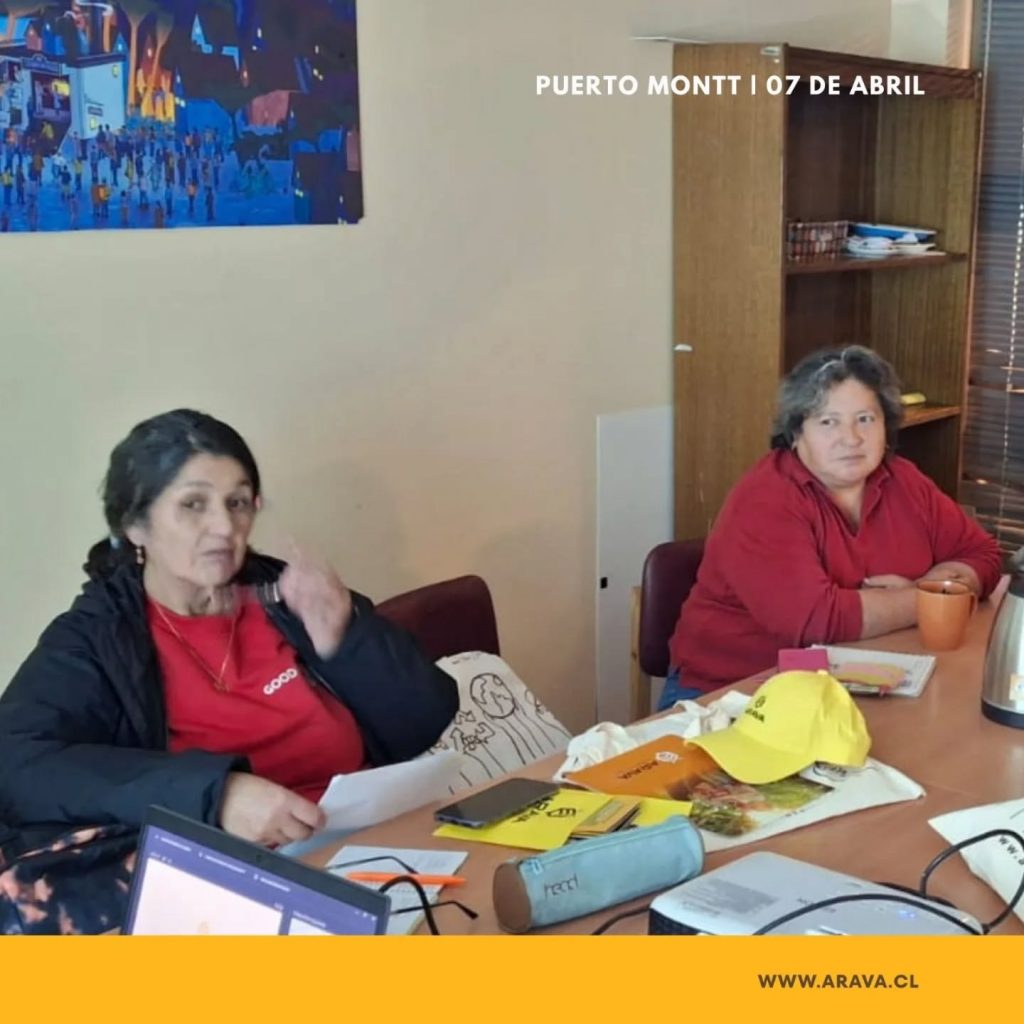 Instagram post from aravachile. This post is in position 4.