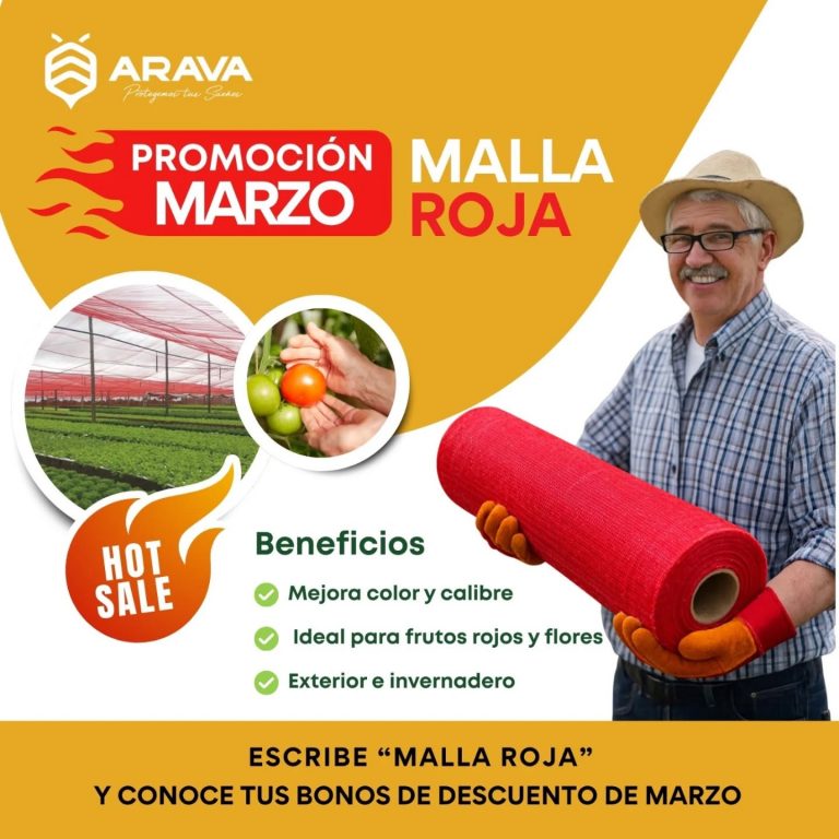 Instagram post from aravachile. This post is in position 1.