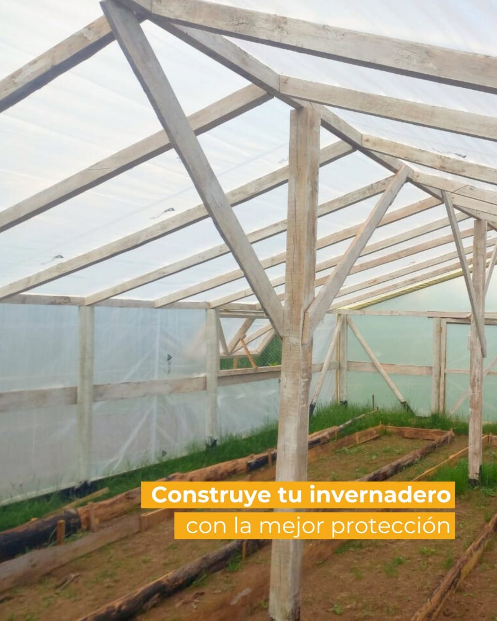 Instagram post from aravachile. This post is in position 1.