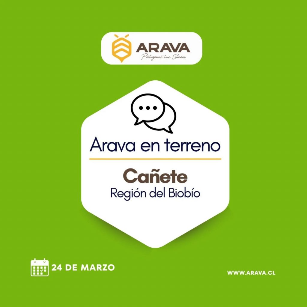 Instagram post from aravachile. This post is in position 0.