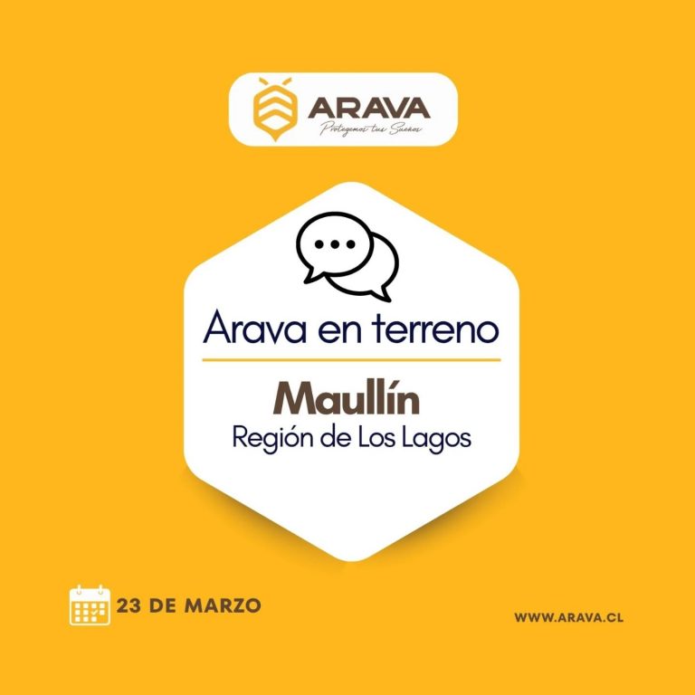 Instagram post from aravachile. This post is in position 1.