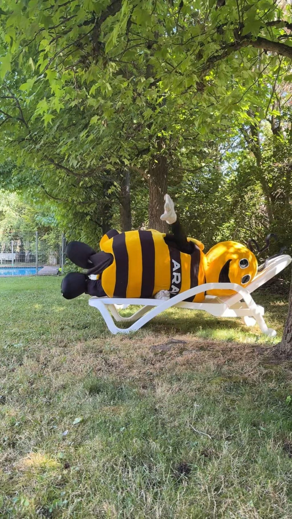 Instagram post from aravachile. This post is in position 4.