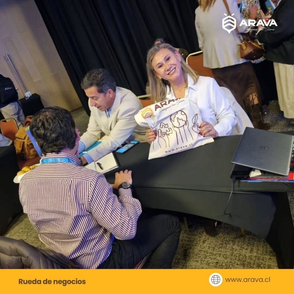 Instagram post from aravachile. This post is in position 2.