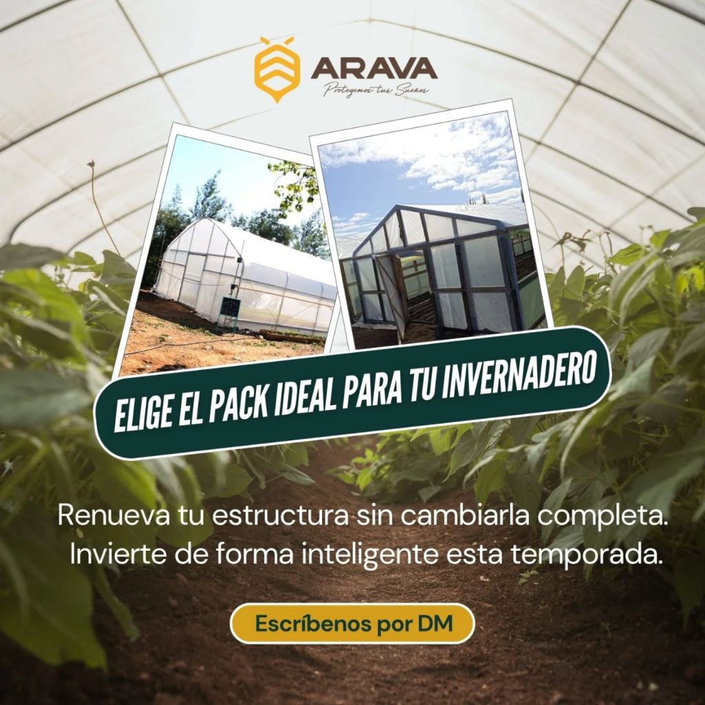 Instagram post from aravachile. This post is in position 9.