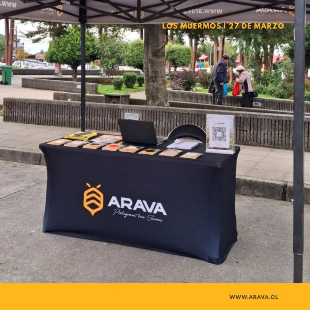 Instagram post from aravachile. This post is in position 4.