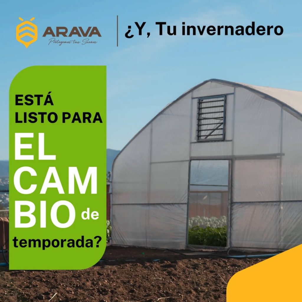 Instagram post from aravachile. This post is in position 0.