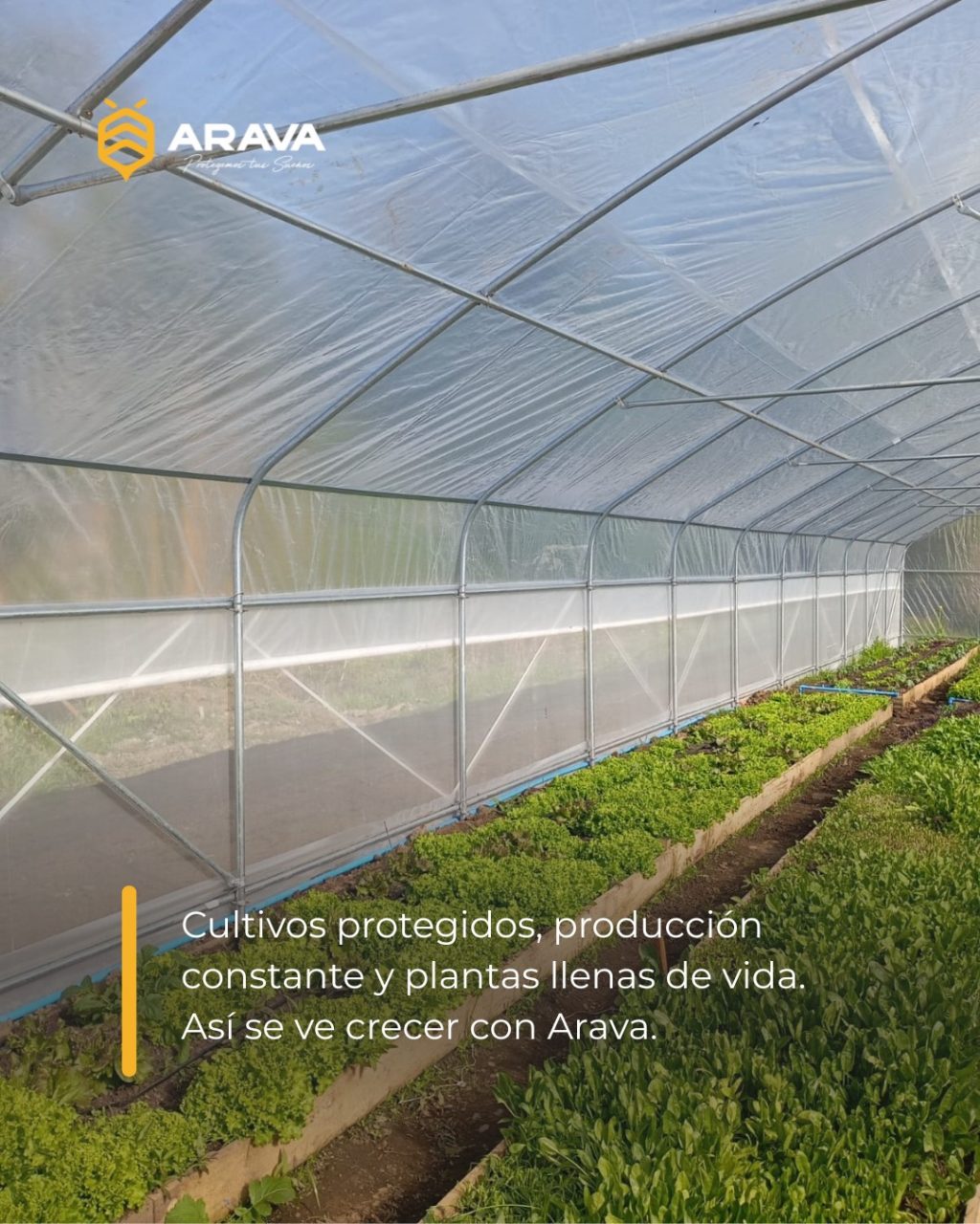 Instagram post from aravachile. This post is in position 1.