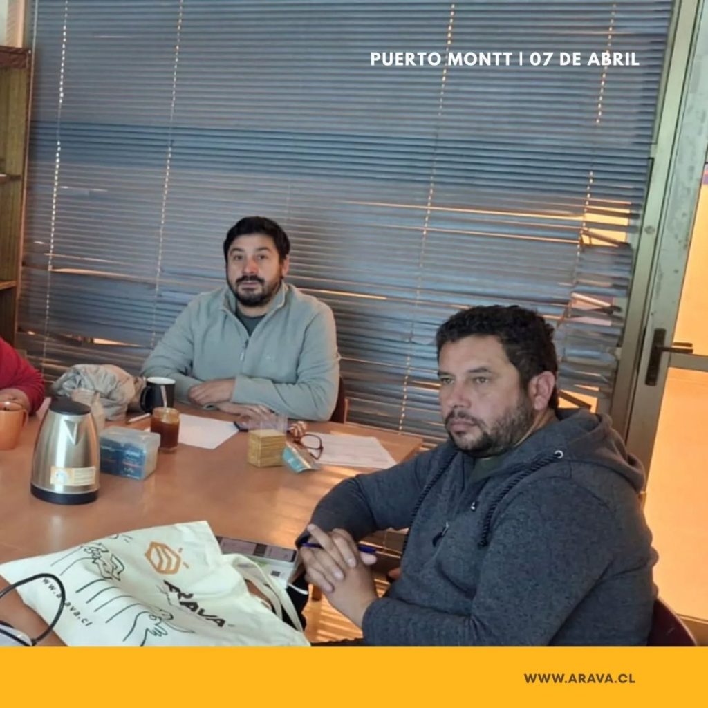 Instagram post from aravachile. This post is in position 5.