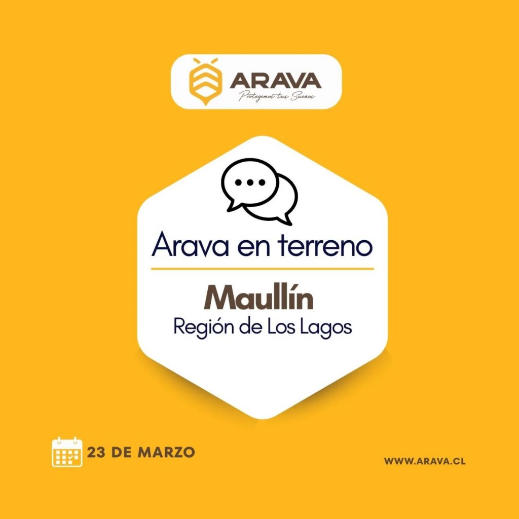 Instagram post from aravachile. This post is in position 0.