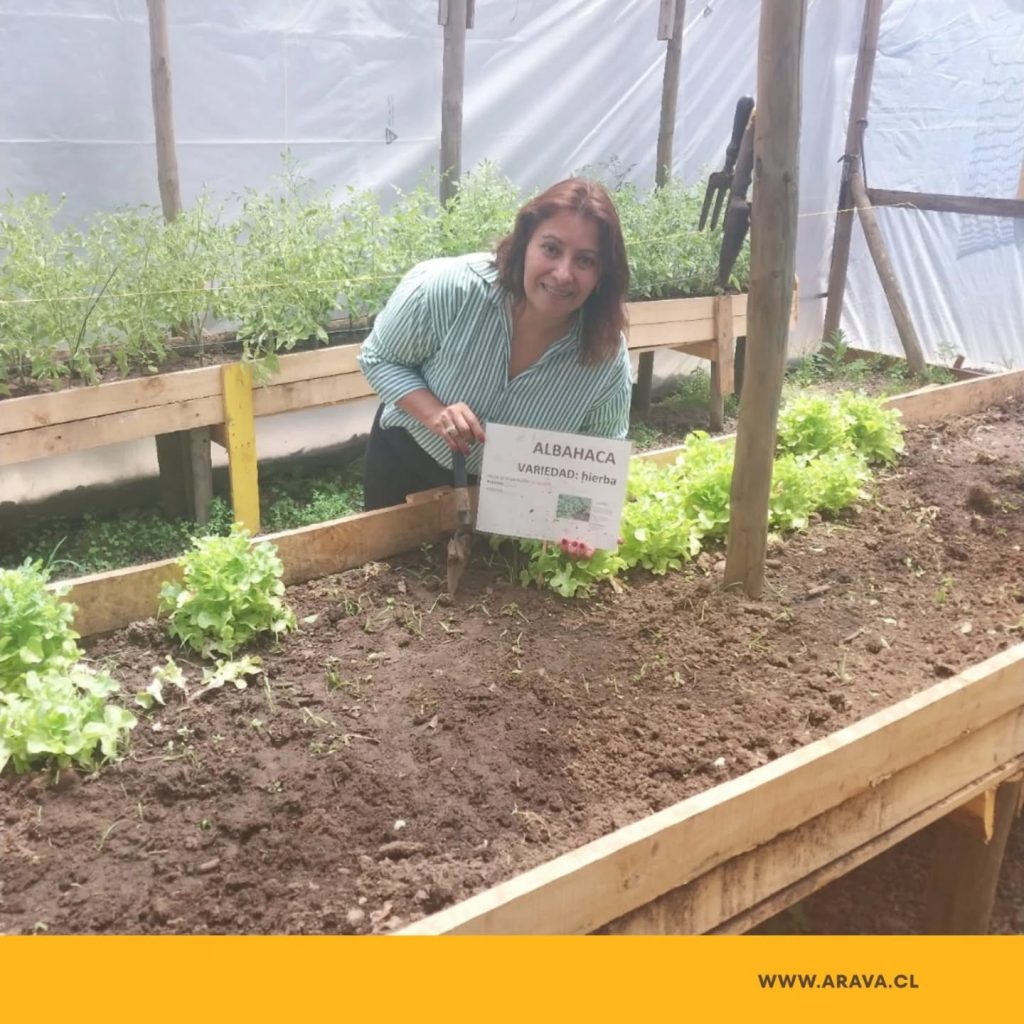 Instagram post from aravachile. This post is in position 2.