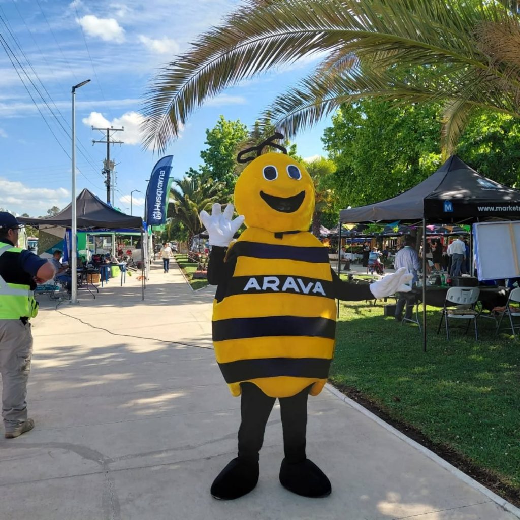 Instagram post from aravachile. This post is in position 2.