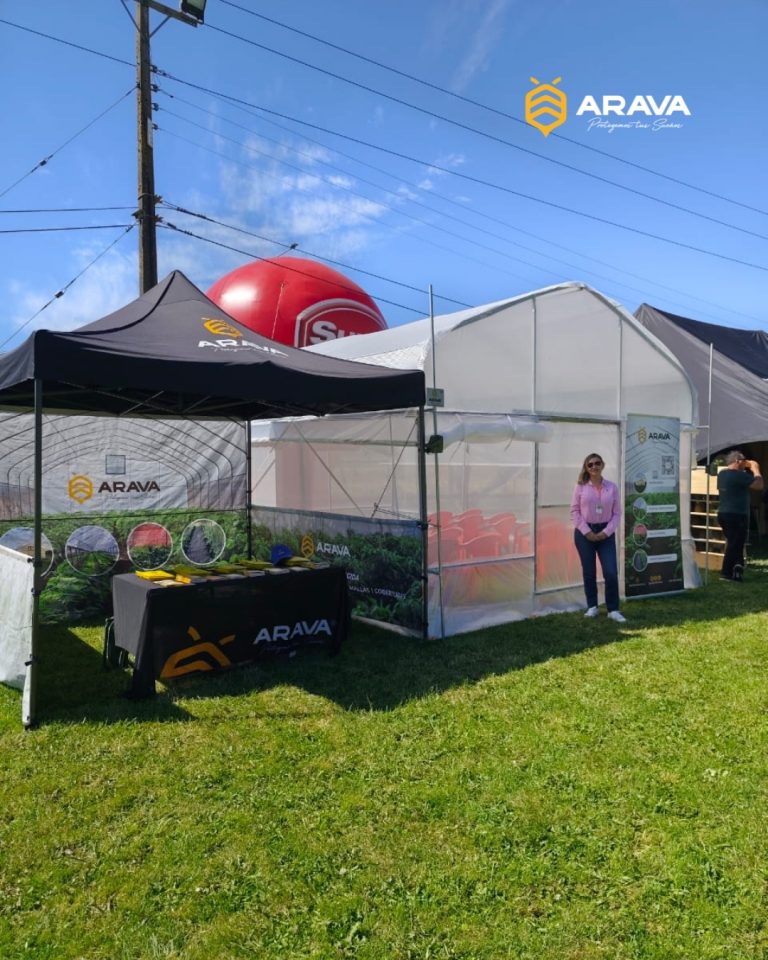 Instagram post from aravachile. This post is in position 8.