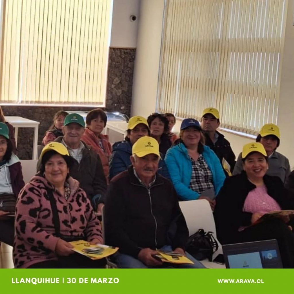 Instagram post from aravachile. This post is in position 2.