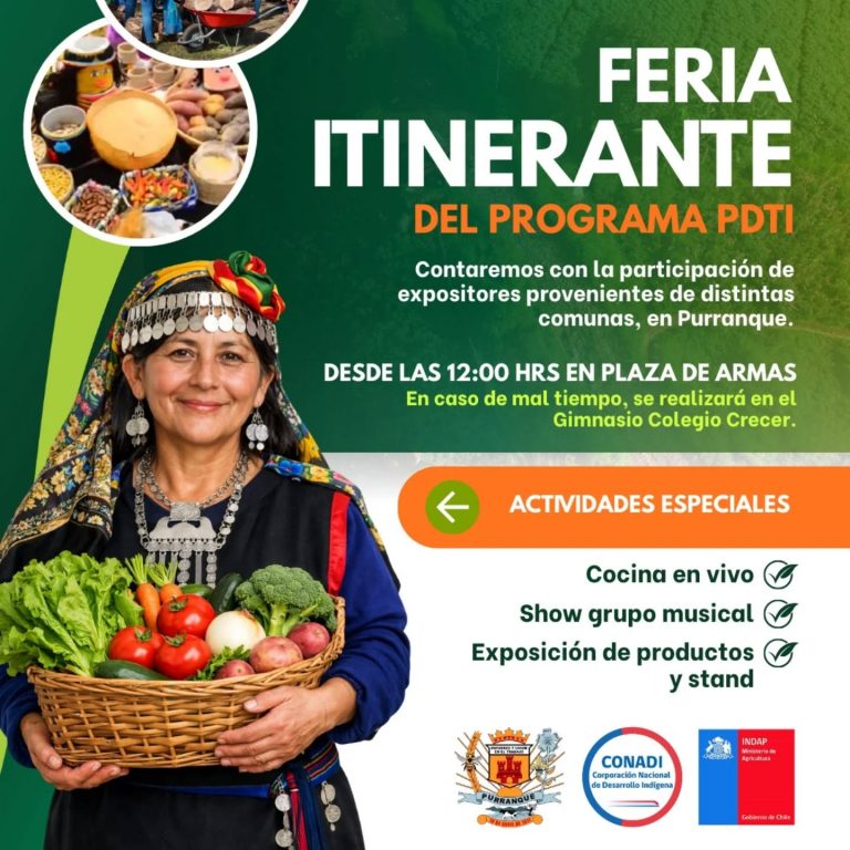 Instagram post from aravachile. This post is in position 1.