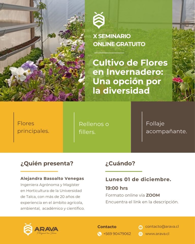 Instagram post from aravachile. This post is in position 2.